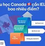 Du Học Nghề Canada Cần Ielts Bao Nhiêu