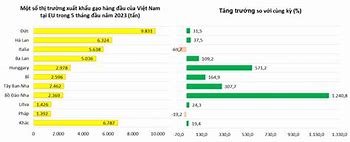 Giá Gạo Xuất Khẩu Sang Eu 2020 Là Gì ؟ Pdf