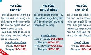 Hồ Sơ Học Bổng Vinif