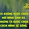 Nghe Đinh Đoàn Nội Về Bài Học Cuộc Sống